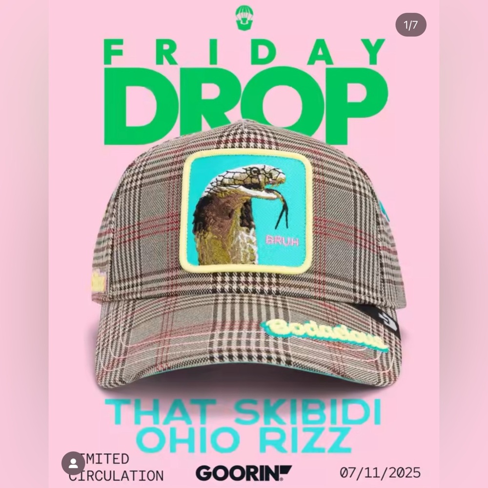 ⭐️NIB Limited Edition Goorin Brothers “Bruh” Cobra Trucker Hat